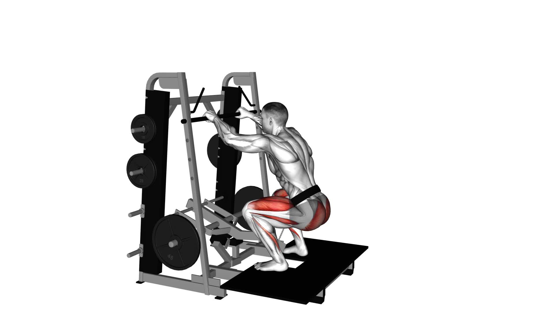 Lever Belt Squat - Video Exercise Guide & Tips