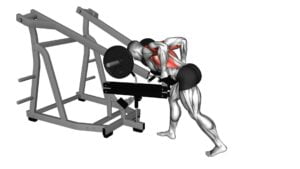Lever Bent Over Neutral Grip Row (With Chest Support) - Video Exercise Guide & Tips