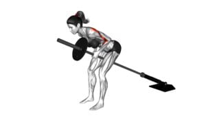 Lever Bent Over Row (Plate Loaded) (Female) - Video Exercise Guide & Tips