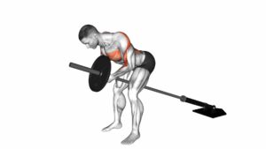 Lever Bent Over Row (Plate Loaded) - Video Exercise Guide & Tips