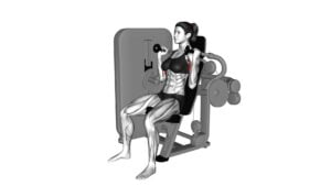 Lever Biceps Curl (female) - Video Exercise Guide & Tips