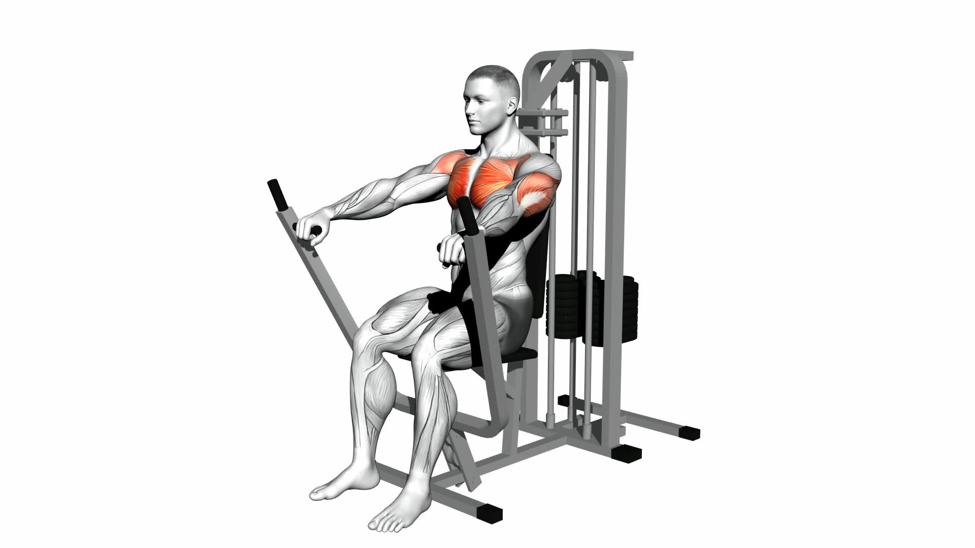 Lever Chest Press - Video Exercise Guide & Tips