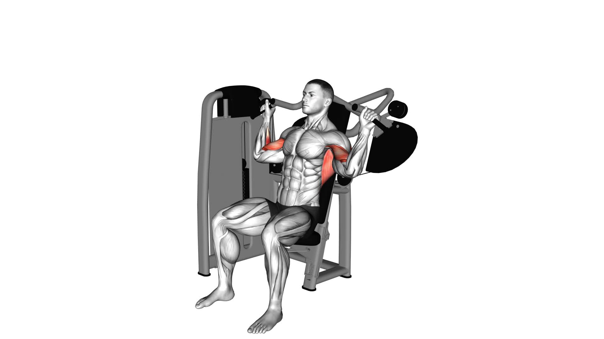 Lever Cross Lat Pulldown (VERSION 2) (male) - Video Exercise Guide & Tips