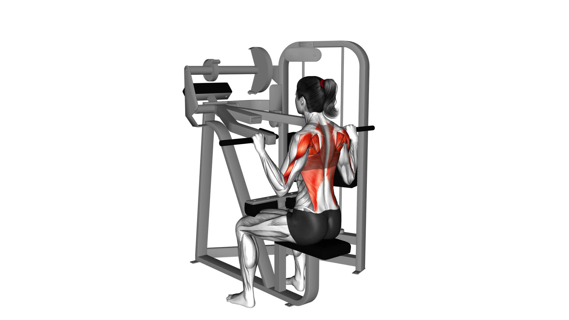 Lever Front Pulldown (female) - Video Exercise Guide & Tips