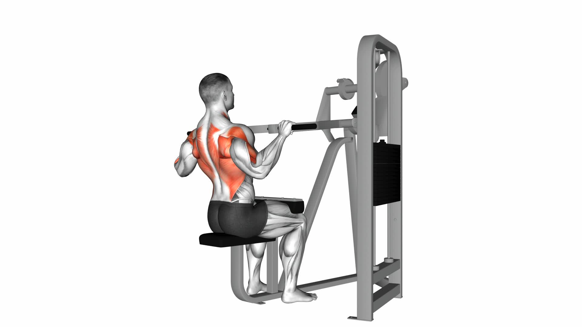 Lever Front Pulldown - Video Exercise Guide & Tips