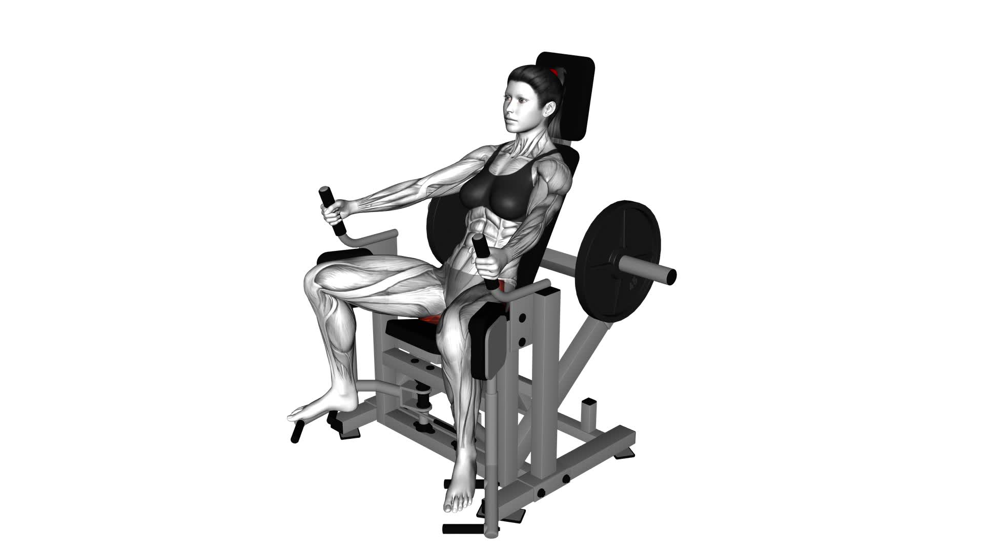 Lever Glute Abductors Press (female) - Video Exercise Guide & Tips