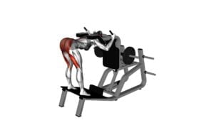 Lever Good Morning on the Hack Squat Machine (female) - Video Exercise Guide & Tips