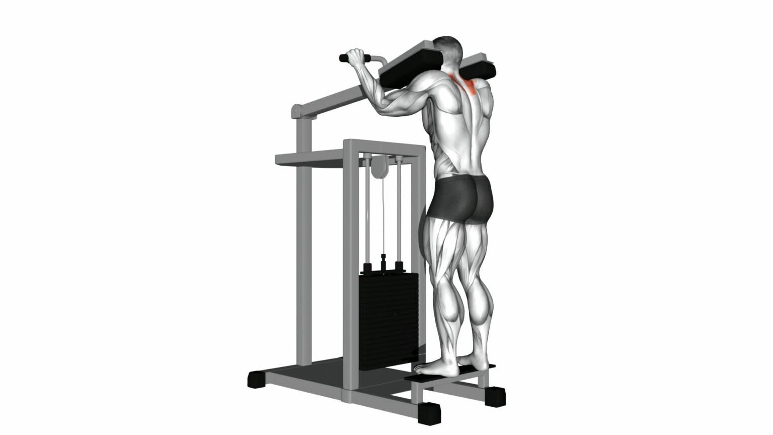Lever Gripless Shrug: Video Guide & Tips For Effective Exercise