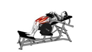 Lever Hip Thrust (Plate Loaded) (Female) - Video Exercise Guide & Tips