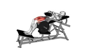 Lever Hip Thrust (Plate Loaded) (Male) - Video Exercise Guide & Tips