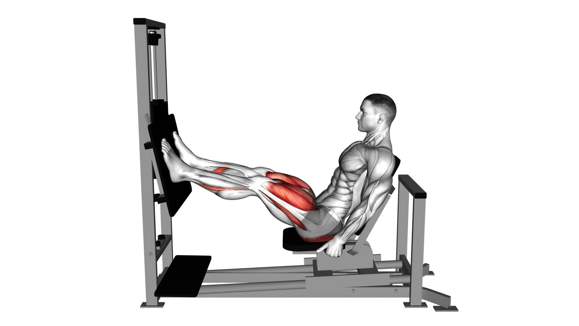 Lever Horizontal Leg Press - Video Exercise Guide & Tips