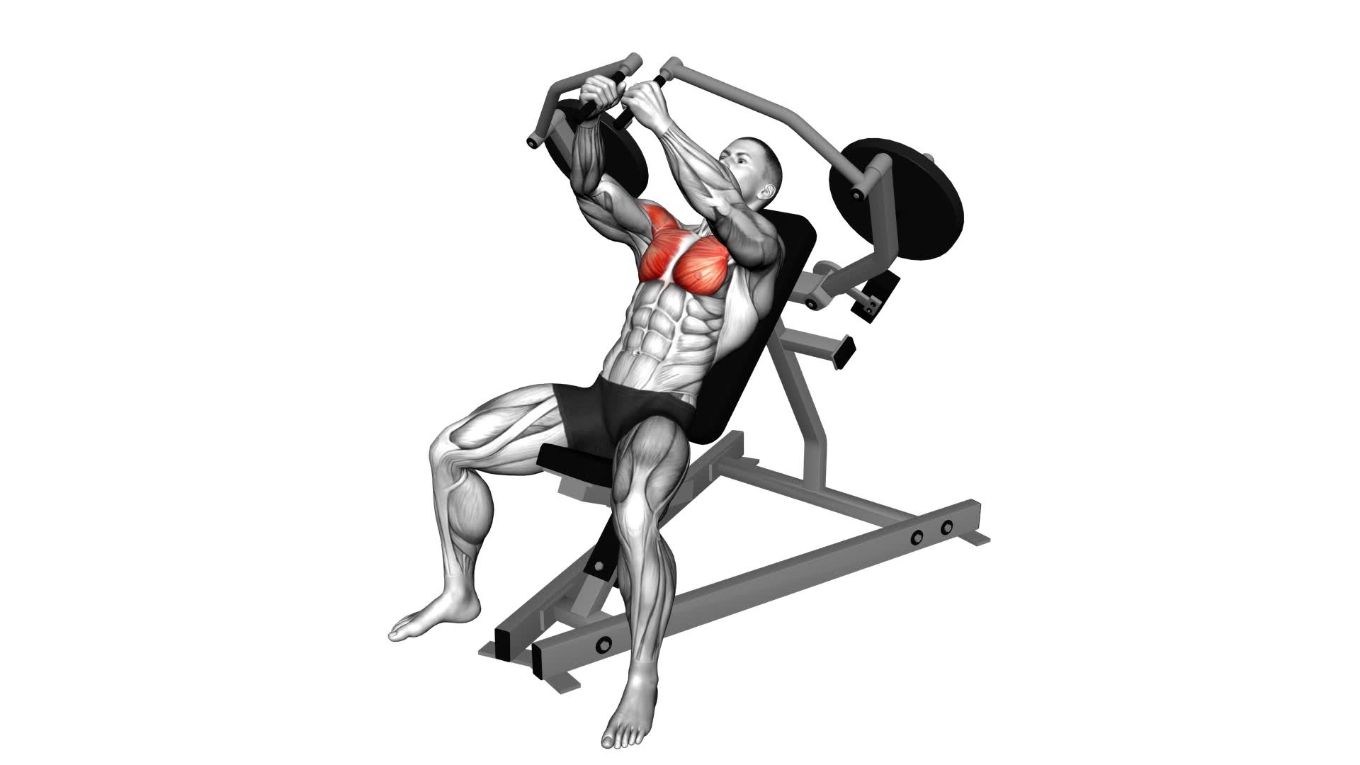 Lever Incline Fly (male) - Video Exercise Guide & Tips