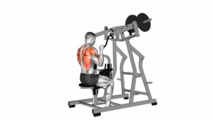 Lever Lateral Pulldown (Plate Loaded) - Video Exercise Guide & Tips