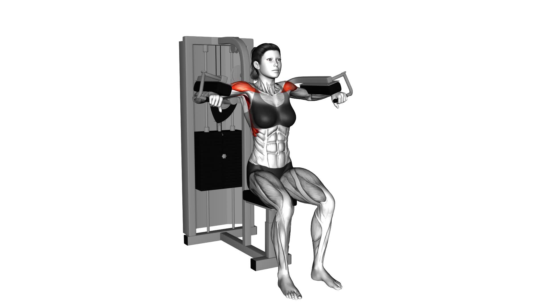 Lever Lateral Raise (female) - Video Exercise Guide & Tips