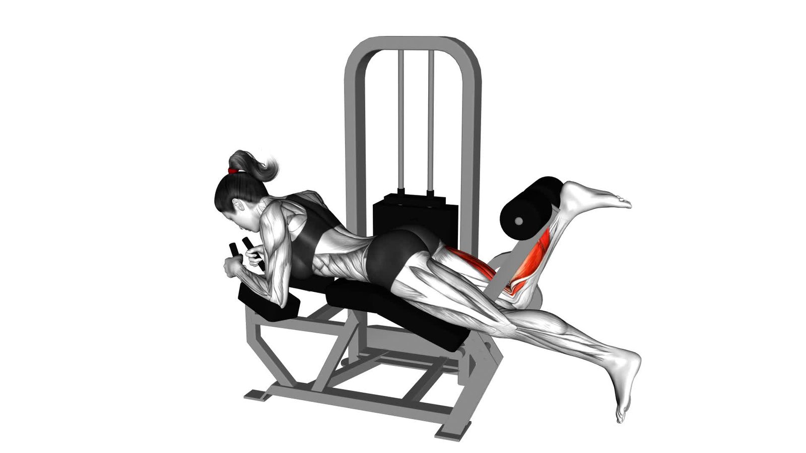 Lever Lying Single Leg Curl (female) - Video Exercise Guide & Tips