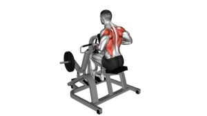 Lever Neutral Grip Seated Row (Plate Loaded) - Video Exercise Guide & Tips