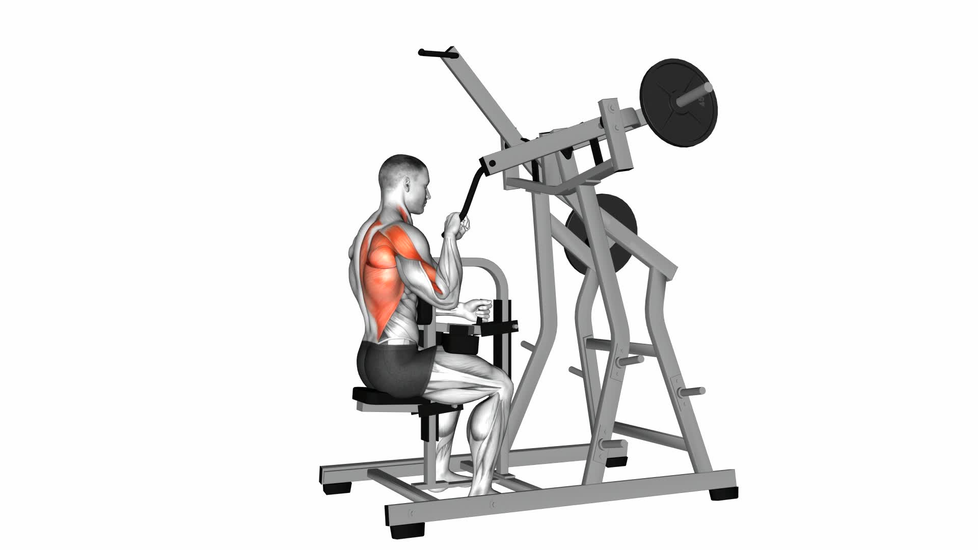 Lever One Arm Lateral Wide Pulldown (Plate Loaded) - Video Exercise Guide & Tips