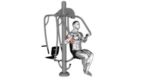 Lever Outdoor Seated Lat Pulldown - Video Exercise Guide & Tips