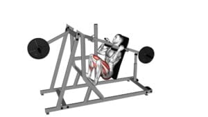 Lever Pendulum Squat (Plate Loaded) - Video Exercise Guide & Tips