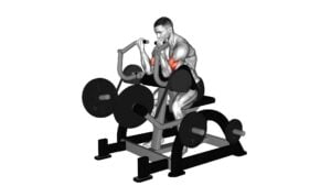 Lever Preacher Curl (Plate Loaded) - Video Exercise Guide & Tips