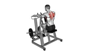 Lever Pronated Grip Seated Scapular Retraction Shrug (Plate Loaded) - Video Exercise Guide & Tips