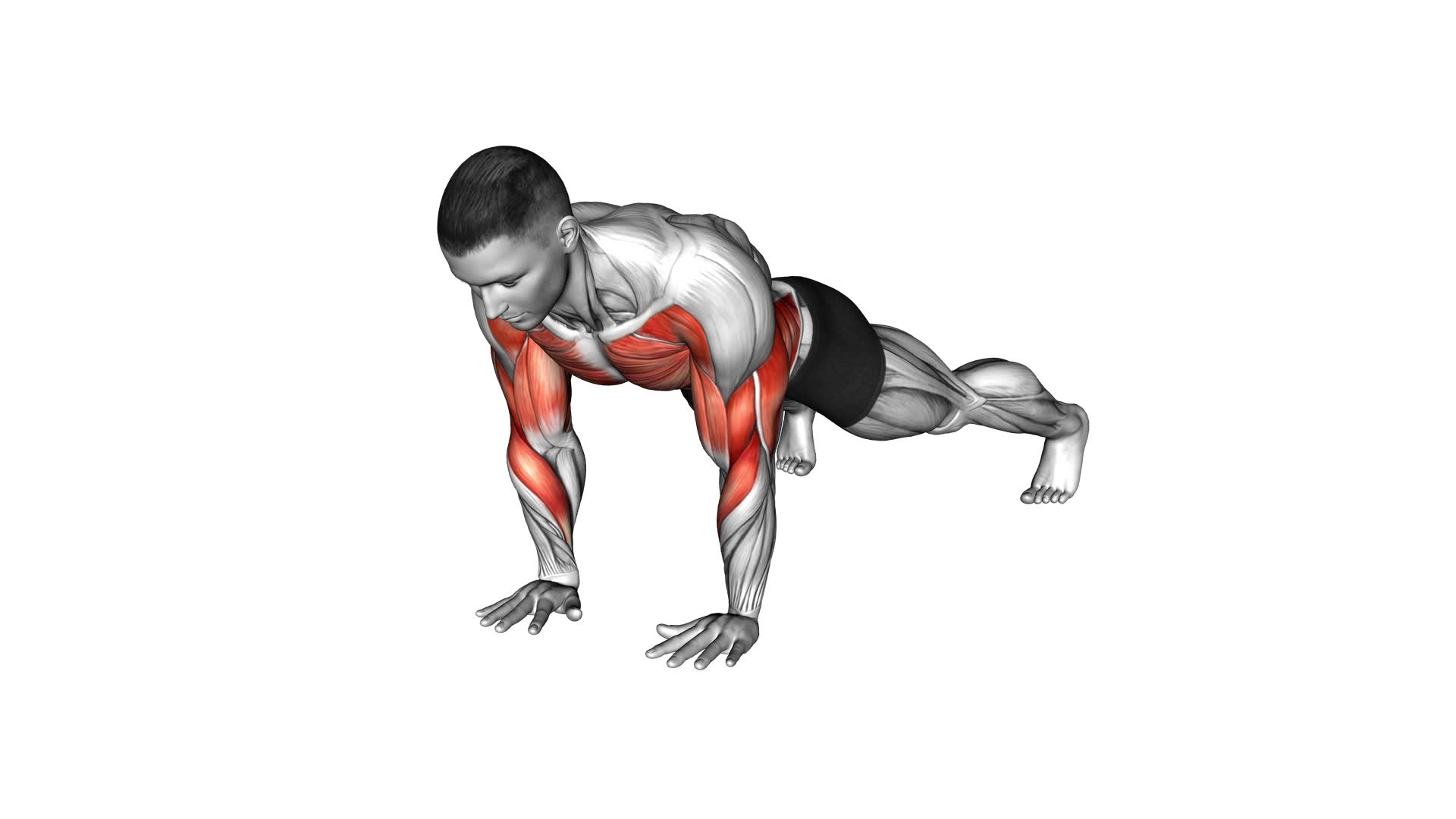 Lever Push-up (male) - Video Exercise Guide & Tips