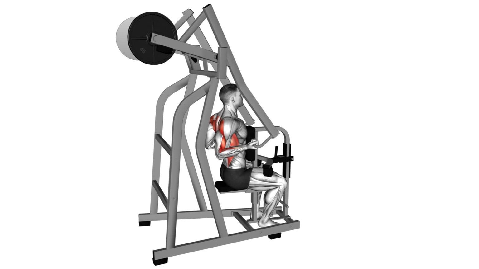 Reverse-grip Seated High Row: Cable Exercise Guide & Tips