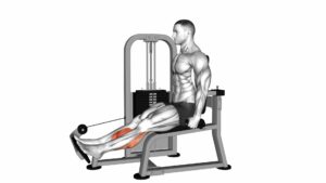 Lever Rotary Calf - Video Exercise Guide & Tips