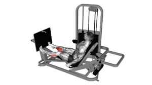 Lever Seated Calf Press - Video Exercise Guide & Tips