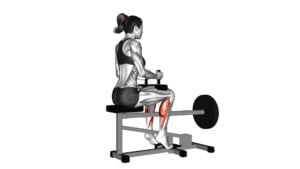 Lever Seated Calf Raise (Plate Loaded) (Female) - Video Exercise Guide & Tips