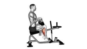 Lever Seated Calf Raise (Plate Loaded) (Version 2) - Video Exercise Guide & Tips