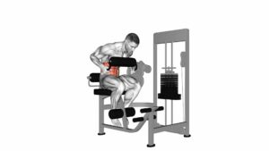 Lever Seated Crunch (Chest Pad) - Video Exercise Guide & Tips