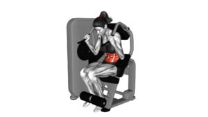 Lever Seated Crunch (female) - Video Exercise Guide & Tips