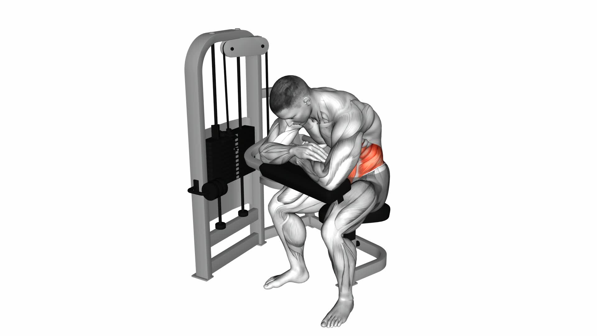 Lever Seated Crunch (Hands Pad) - Video Exercise Guide & Tips