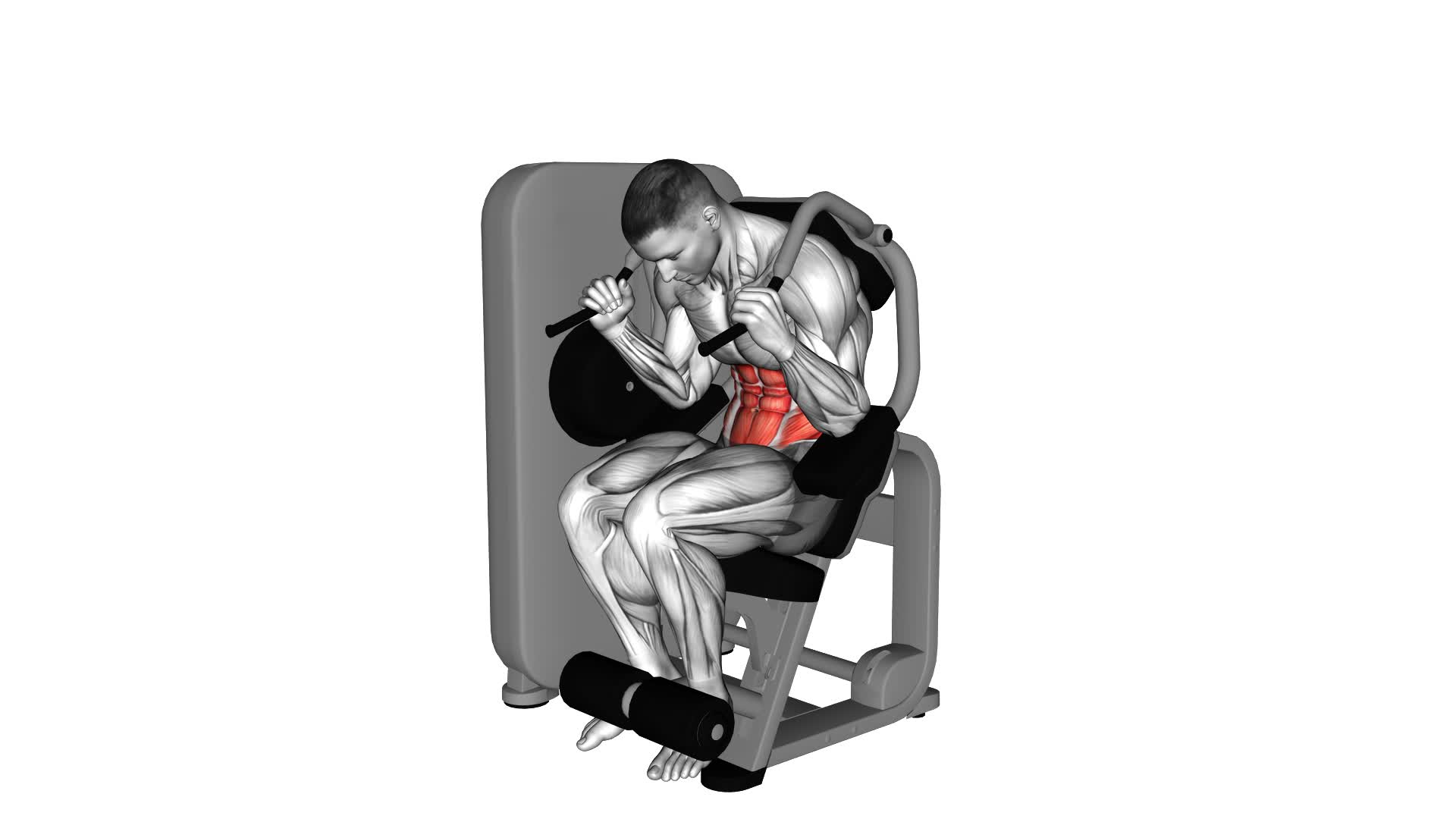 Lever Seated Crunch - Video Exercise Guide & Tips