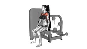 Lever Seated Dip (female) - Video Exercise Guide & Tips