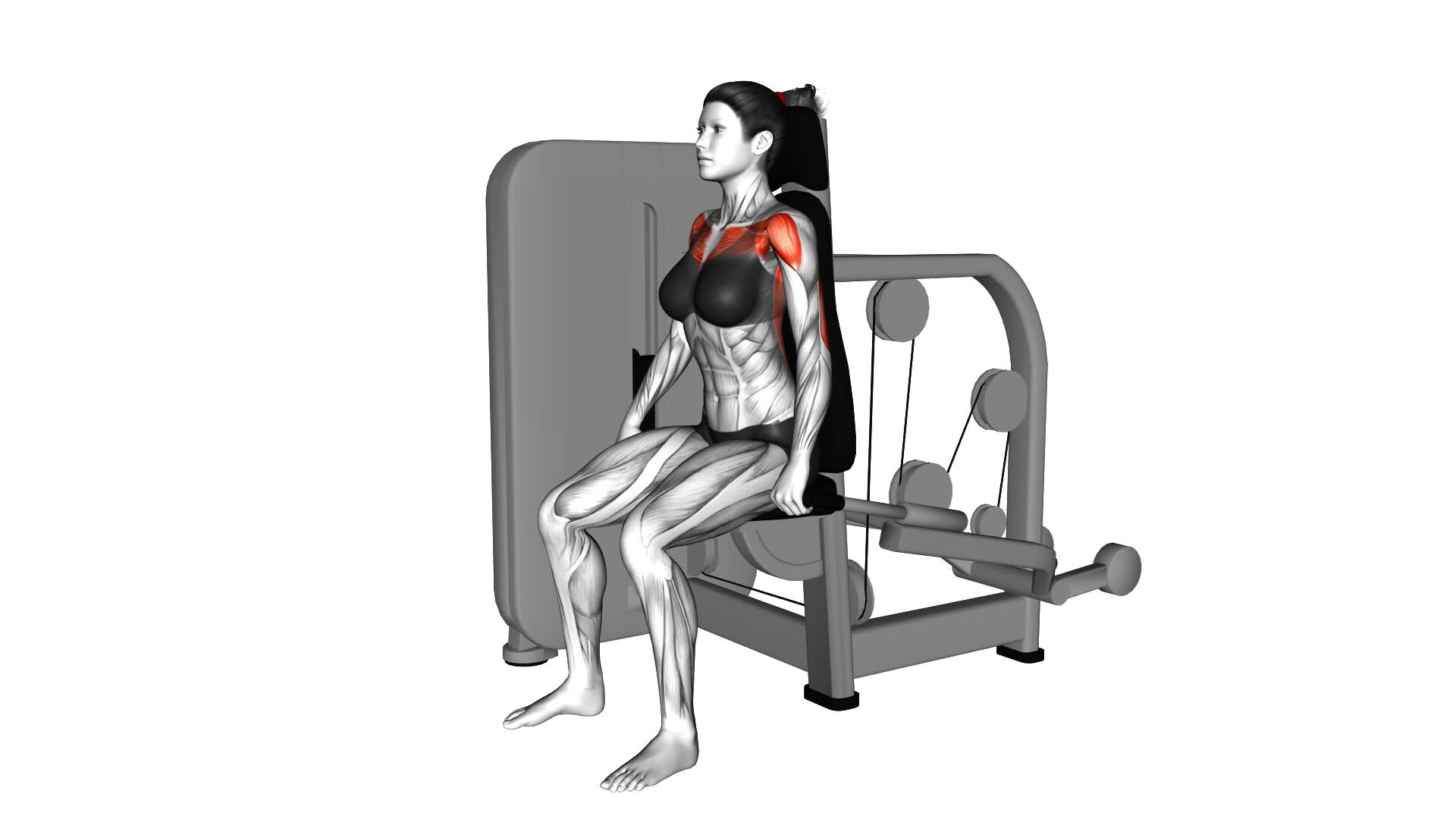 Lever Seated Dip (female) - Video Exercise Guide & Tips