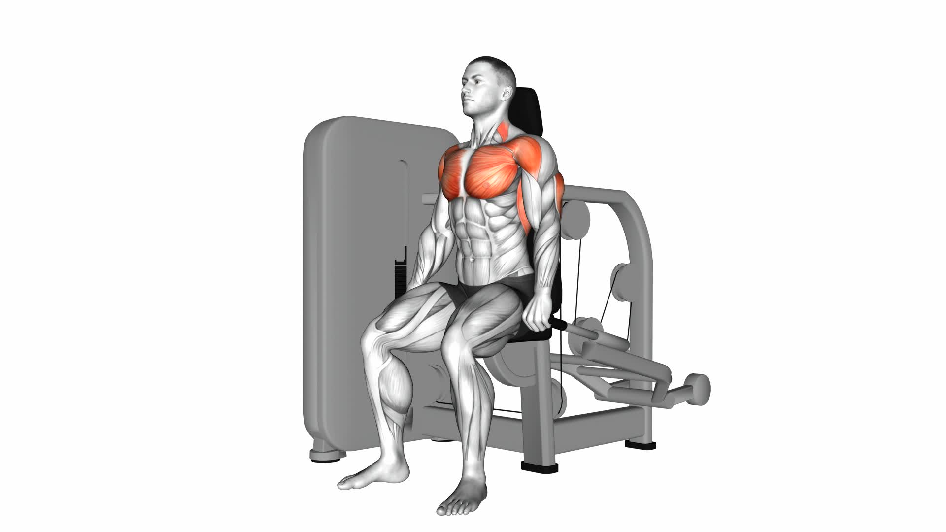 Lever Seated Dip - Video Exercise Guide & Tips