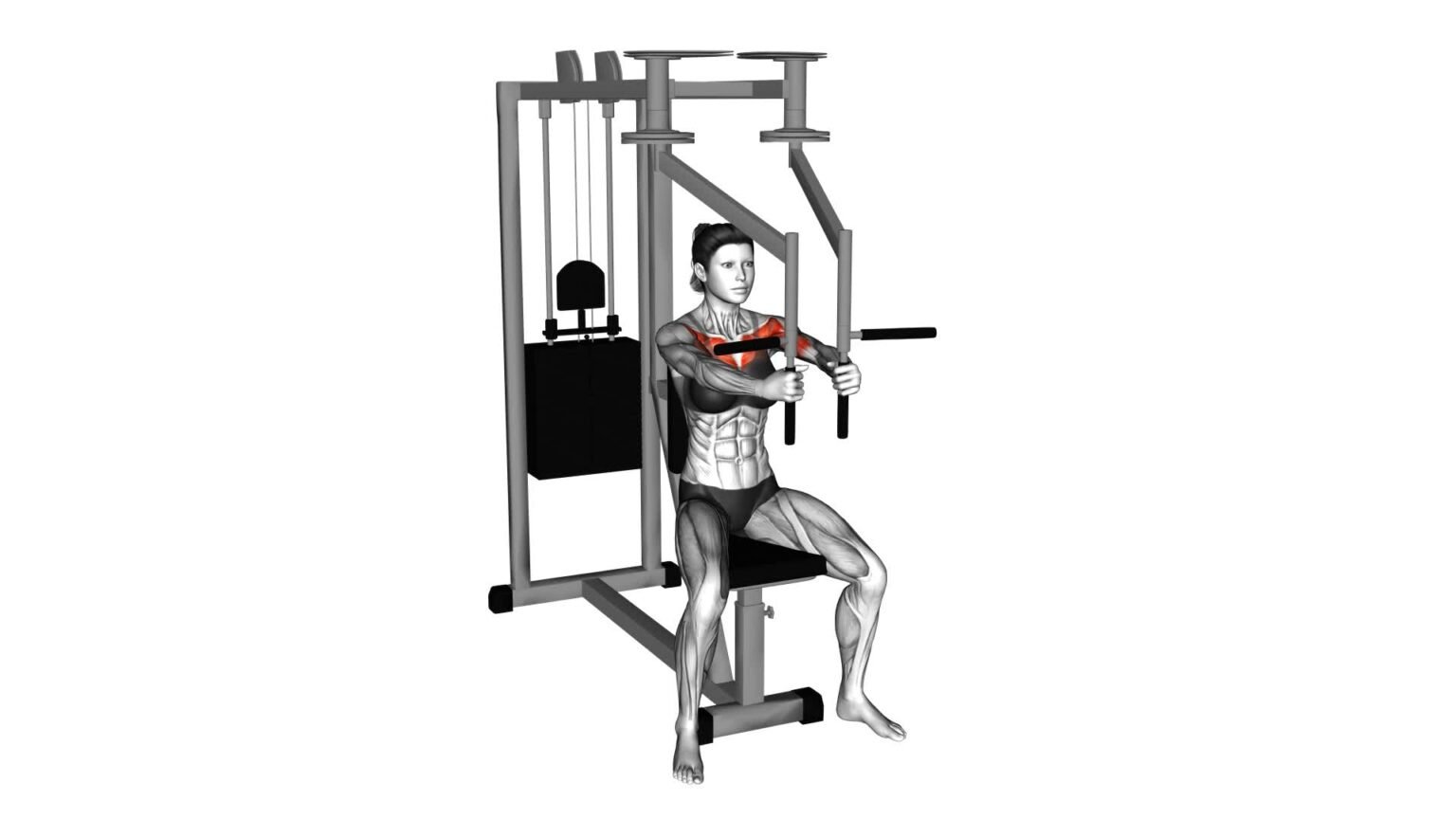 Lever Seated Fly (female) - Exercise Guide & Tips