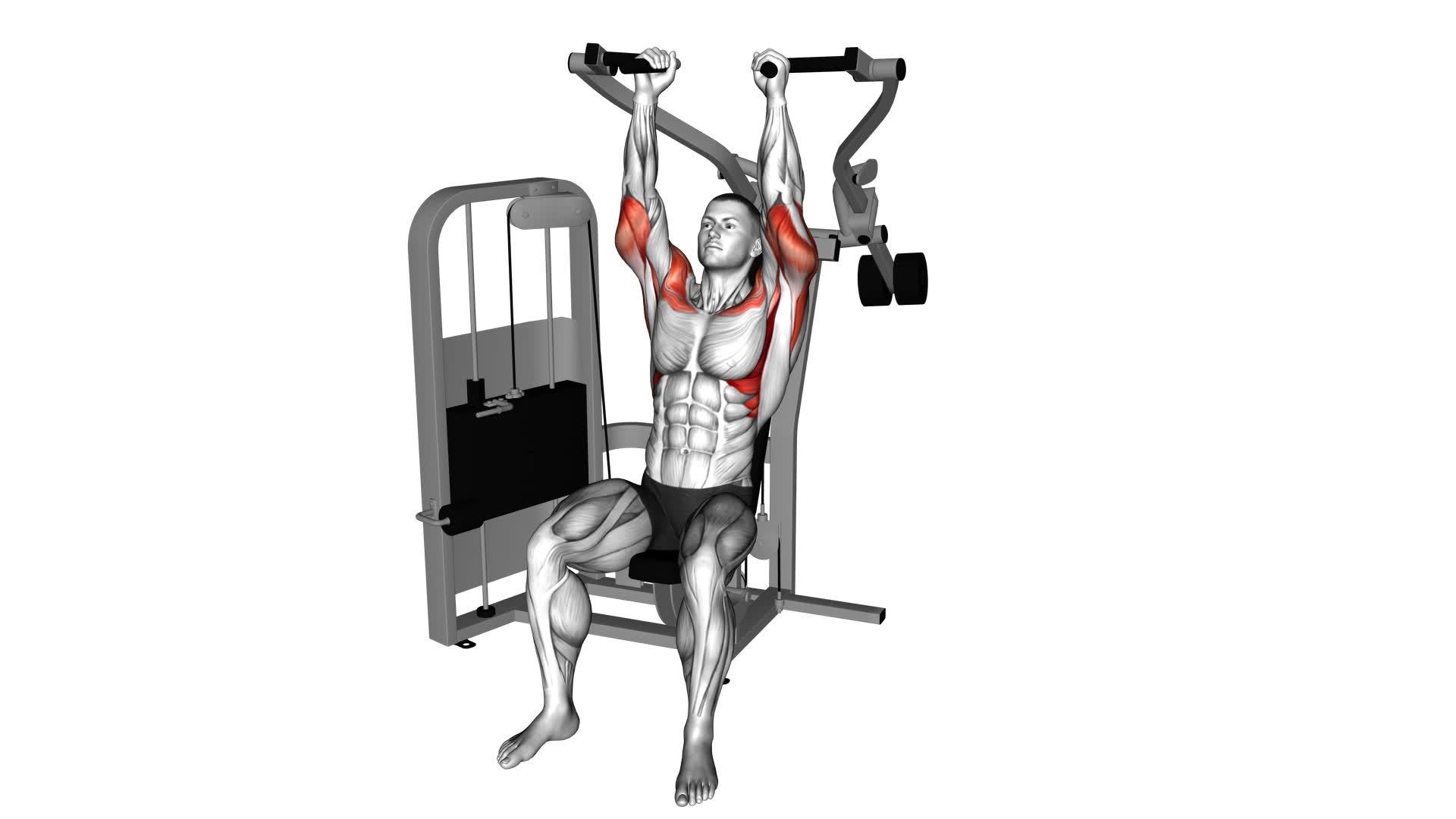 Lever Seated Hammer Grip Shoulder Press - Video Exercise Guide & Tips