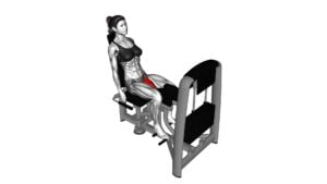 Lever Seated Hip Adduction (female) - Video Exercise Guide & Tips