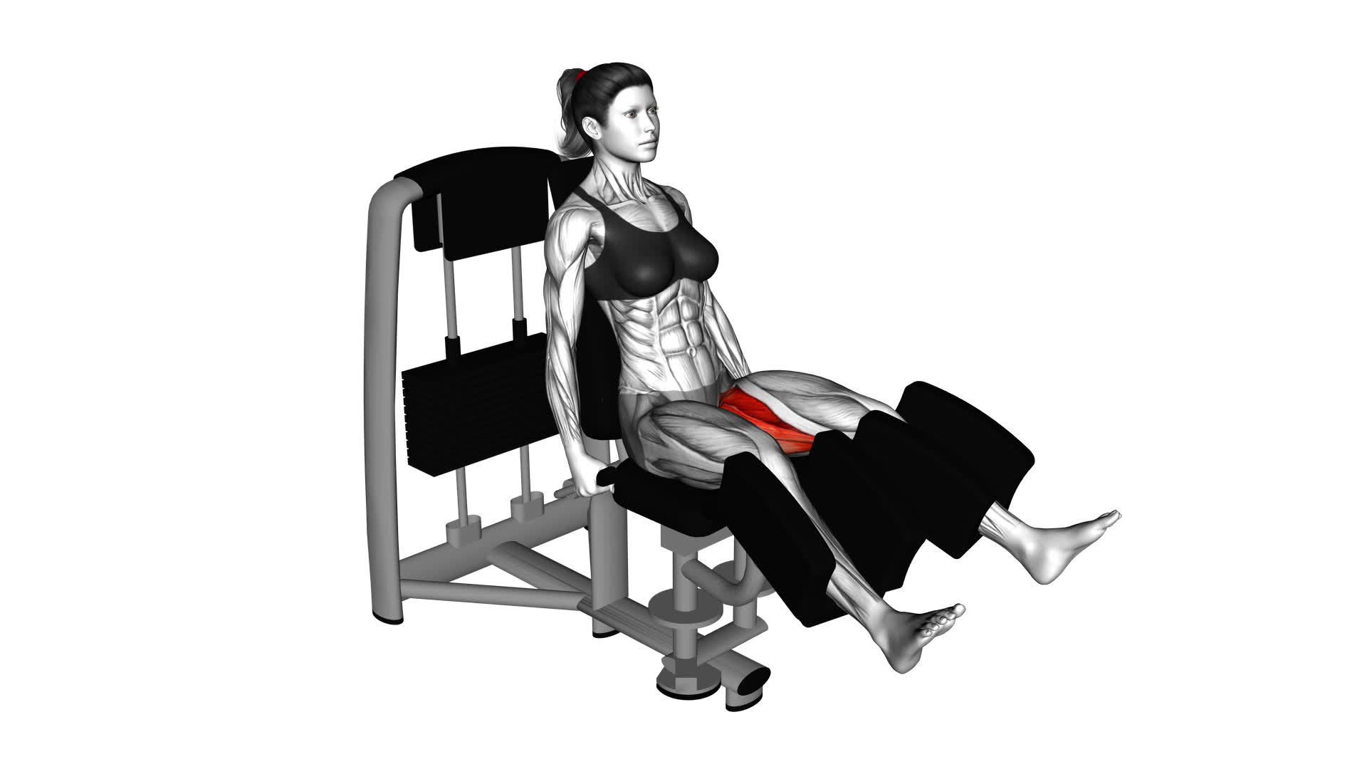 Lever Seated Hip Adduction (VERSION 2) (female) - Video Exercise Guide & Tips