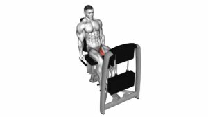 Lever Seated Hip Adduction - Video Exercise Guide & Tips