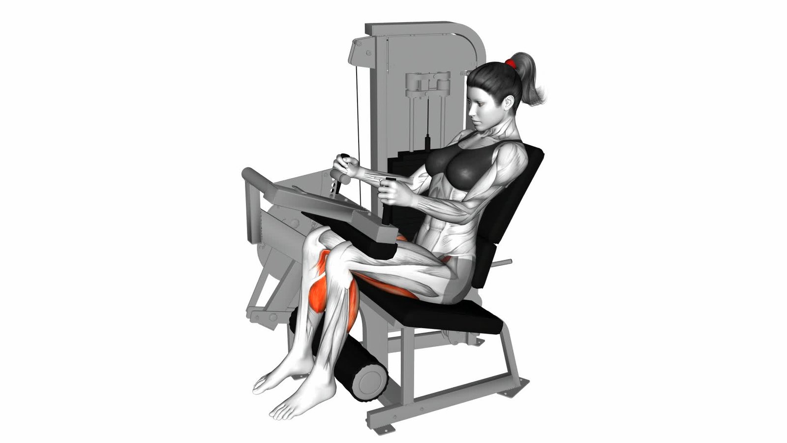 Lever Seated Leg Curl (female) - Video Exercise Guide & Tips