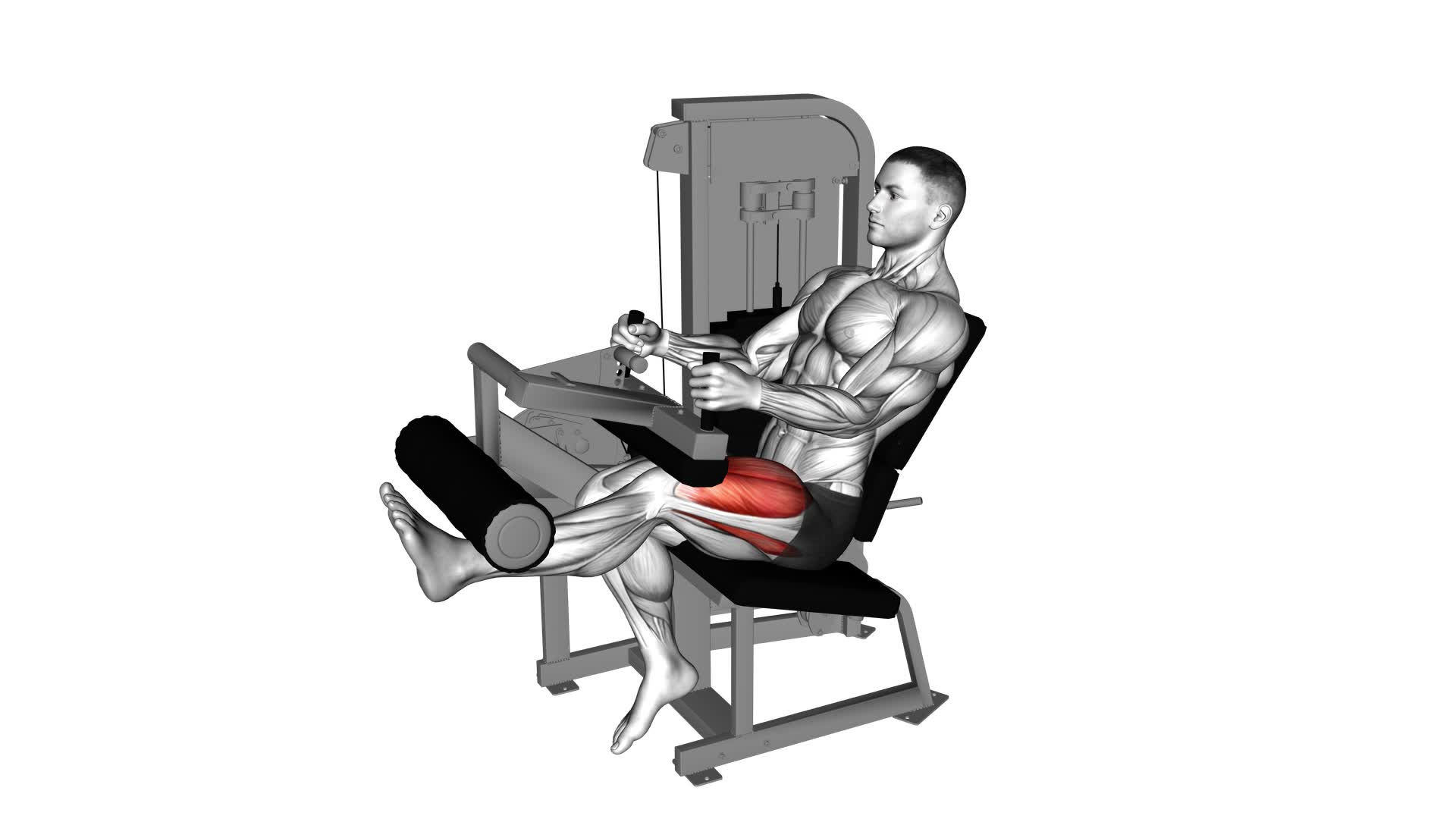 Lever Seated Leg Extension (VERSION 2) - Video Exercise Guide & Tips