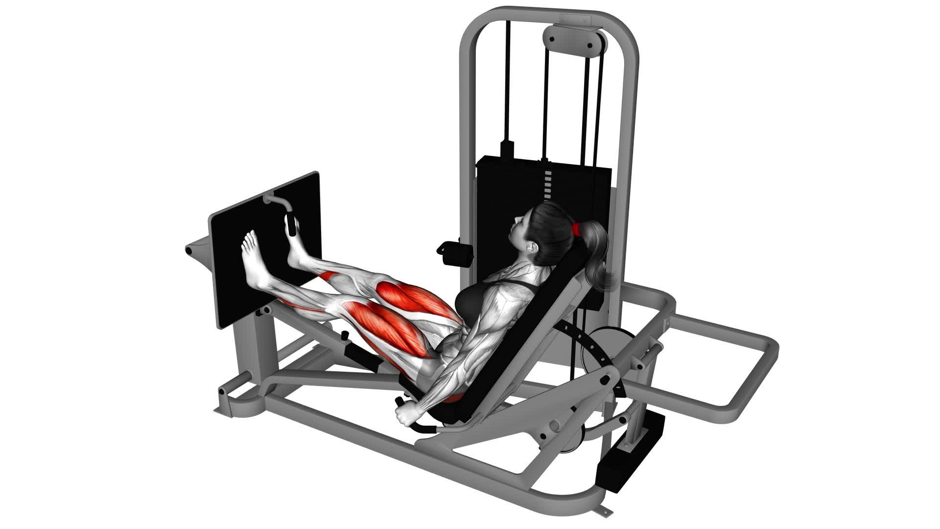 Lever Seated Leg Press (female) - Video Exercise Guide & Tips