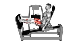 Lever Seated Leg Press (VERSION 2) - Video Exercise Guide & Tips