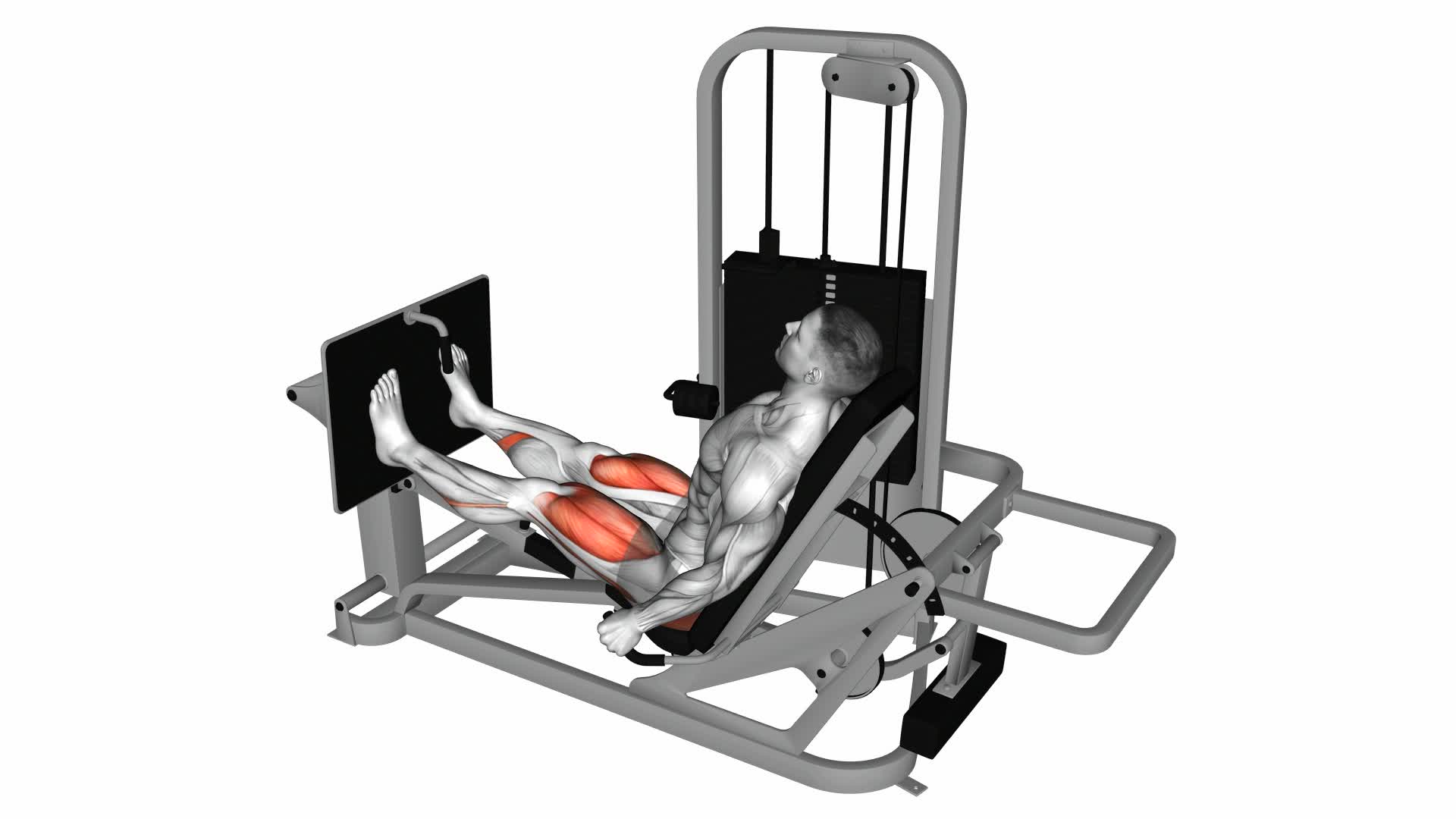 Lever Seated Leg Press - Video Exercise Guide & Tips