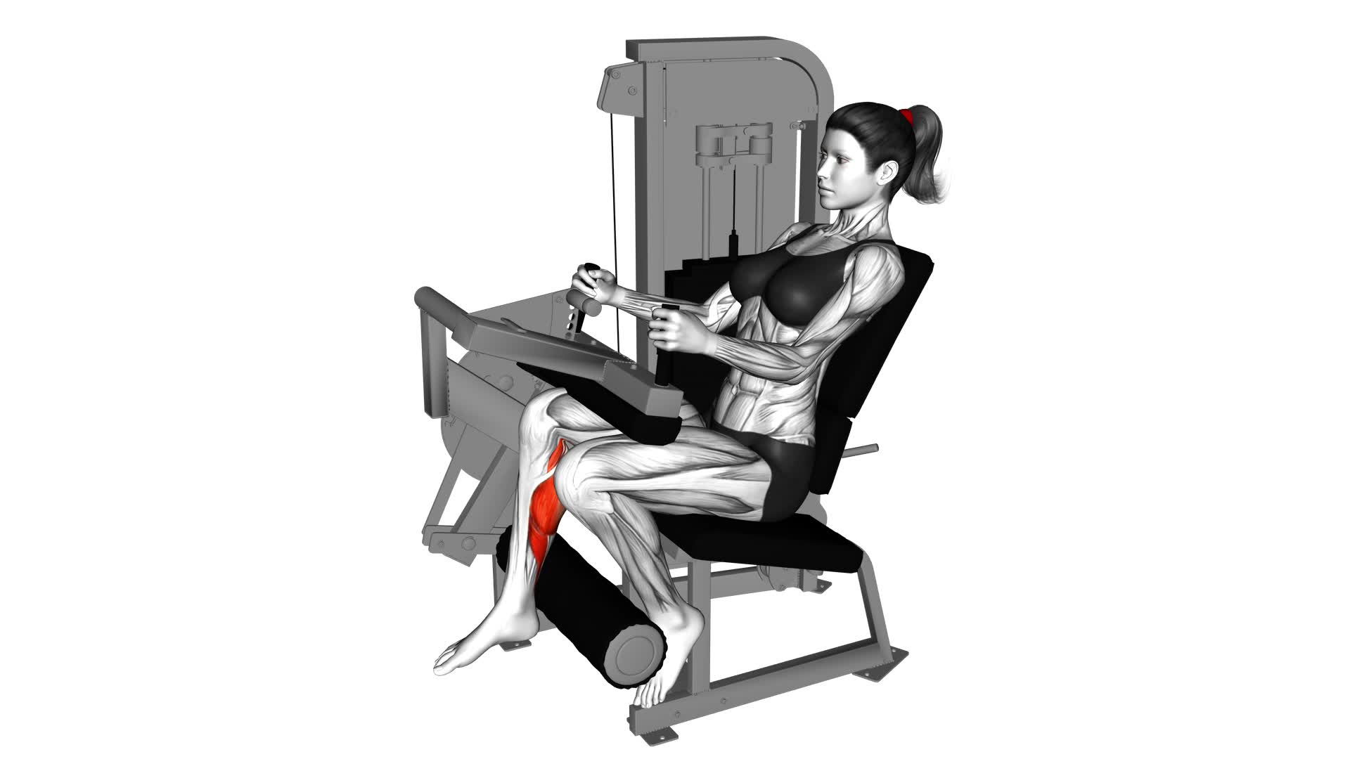 Lever Seated One Leg Curl (female) - Video Exercise Guide & Tips