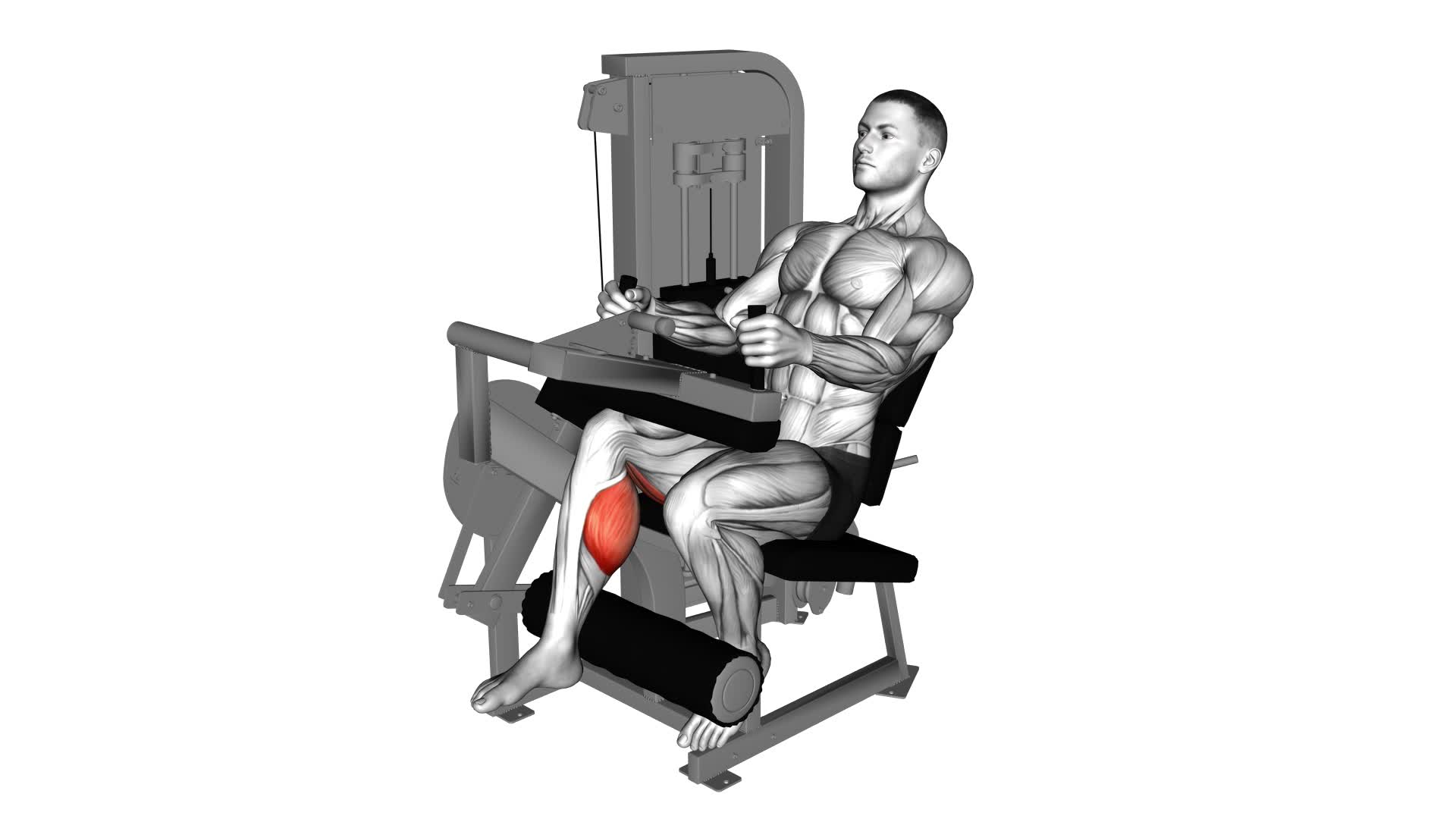 Lever Seated One Leg Curl - Video Exercise Guide & Tips